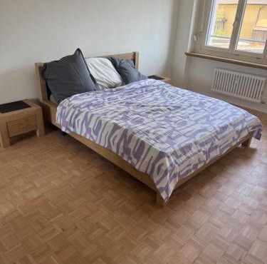 Shared Apartment in central Luzern