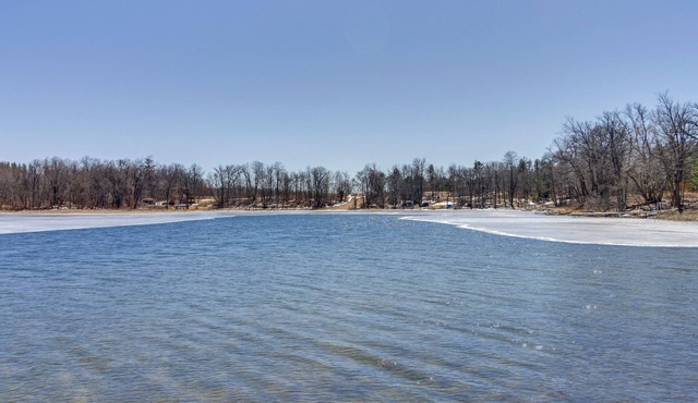 Shared Dock: Dog-Friendly Retreat in Park Rapids!