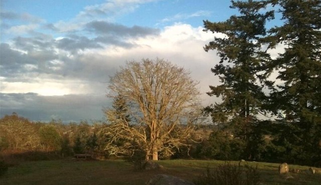 Shared hot tub with meadow view