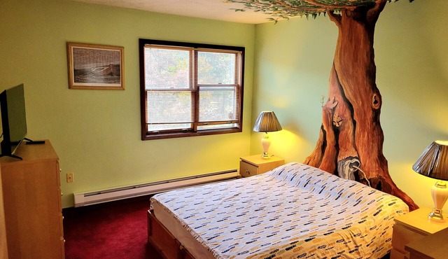 Shawnee Ski Mountain View Jacuzzi Townhouse