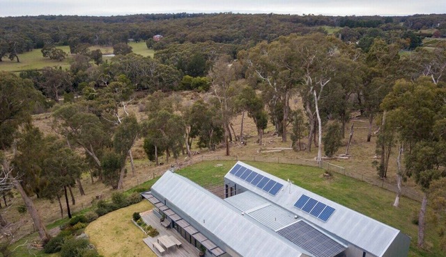 SHEDSTER - TASTE A TREE CHANGE