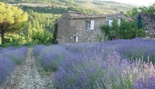 Sheepfold restored In Provence near Vaison la Romaine and Mont Ventoux