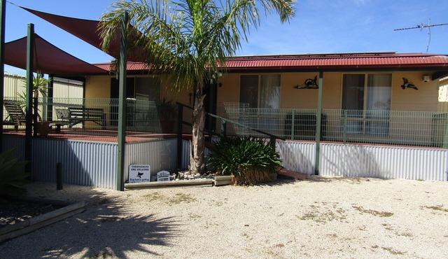 Shelldous - Dog friendly! Off Peak Special!