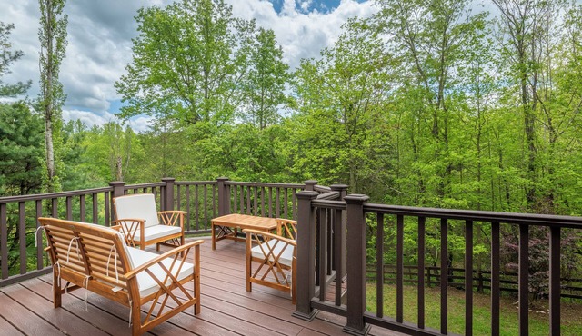 Shenandoah Cabin w Hot Tub, Sauna & Fire Ring