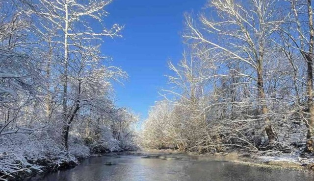 Shenandoah Farm Cottage. River Access , Sweeping Mountain Views and Pet Friendly