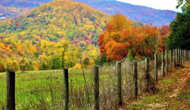 Shenandoah Park, SkylineDr.,trails, wine, Massanutten Ski Resort&Charlottesville