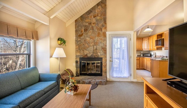 Shenandoah Villas One Bedroom Condo