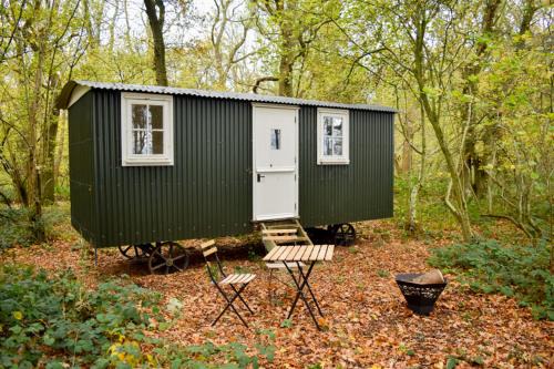 Shepherd Hut in the woods