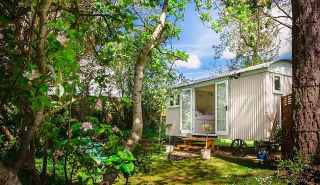 Shepherd's Hut B&B nr Stonehenge, Salisbury, Bath, WiFi