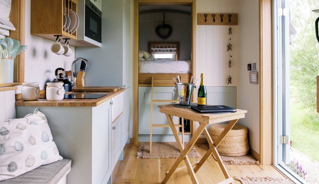 Shepherd's Hut- Hot Tub- Wellness Spa- Wood Burner