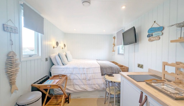Shepherd's Hut on the Beach - Pagham - sleeps 2 guests in 1 bedroom