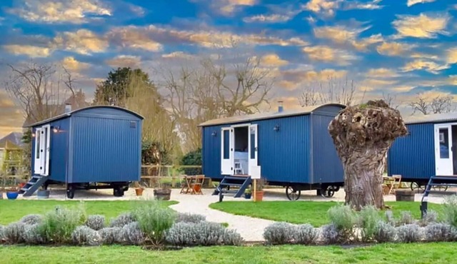 Shepherd's Hut -The Nest/The Burrow