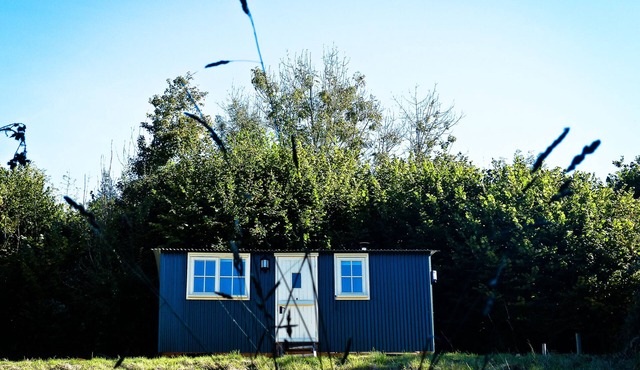 Shepherds Hut in Beautiful Dorset Countryside