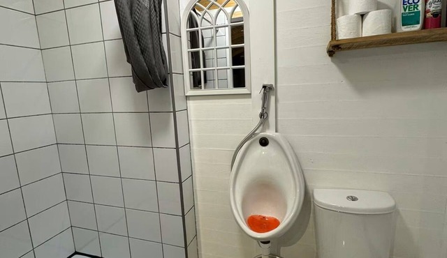 Shepherds Hut In Sylvan Woodland Setting. Walk to nature reserve + river stour