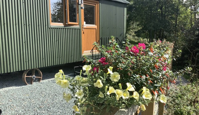 Shepherds Hut, self catering, Powys