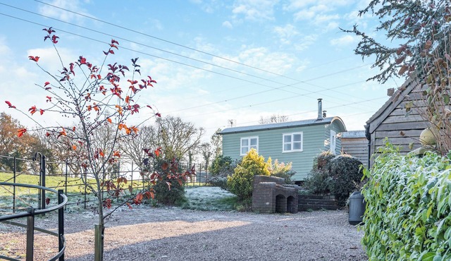 Shepherds Hut - UK45529