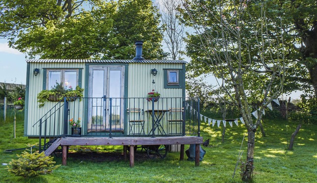 Shepherds Hut - UKC6774