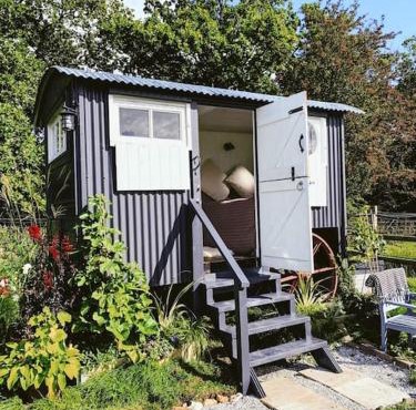 Shepherds hut with Alpaca views