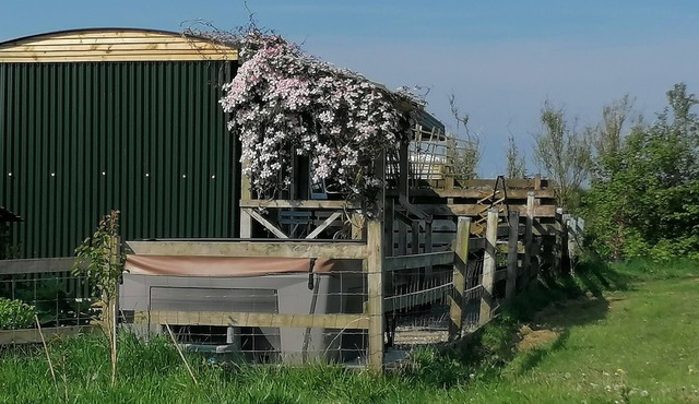 Shepherds Hut with stunning Pembrokeshire hill views
