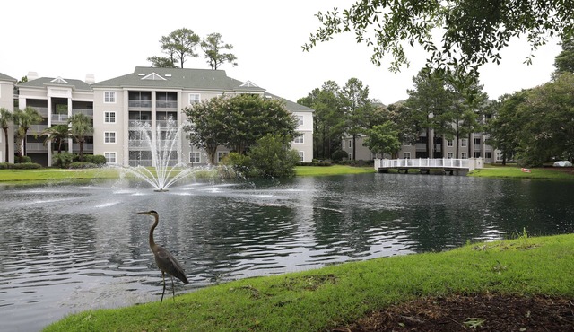 Sheraton Broadway Resort Villas, 2bd/2ba condo, extra large
