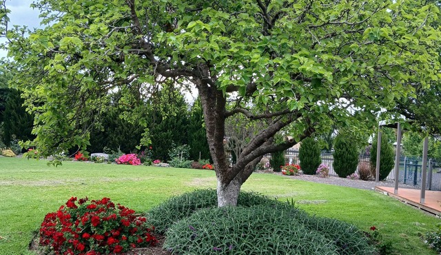 Sherry house - 1 min drive from Bannockburn