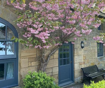 Shieldhall - Cherry Nook