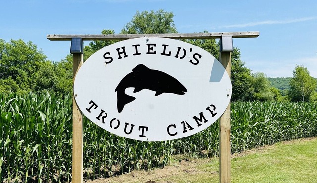 Shields Trout Camp. Private cabin 50 feet from trout stream with river view.