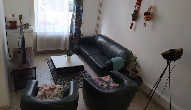 Shiny House in Tourcoing Between Lille and Mouscron