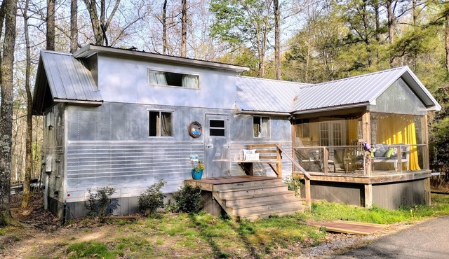 Shiny Tiny -Lake Neely Henry Access