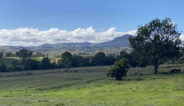 Shire horse and Clydesdale farmstay