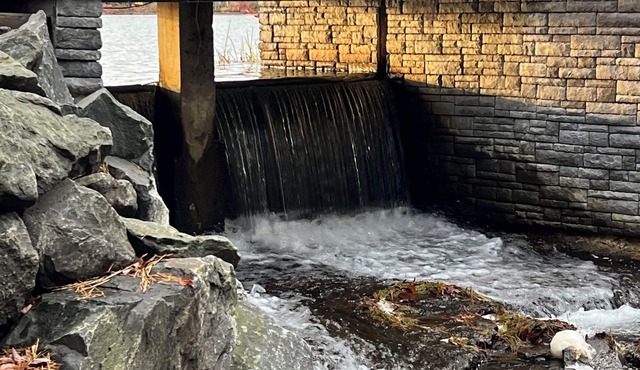 Shire House vibrant spacious cabin safe family pet friendly fire pit trails fish