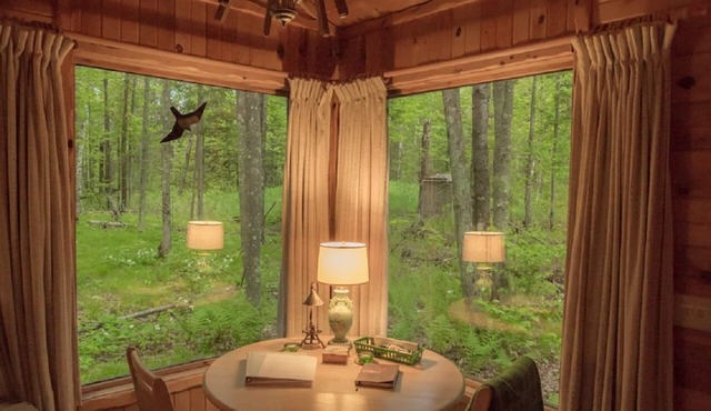 Shire In The Woods