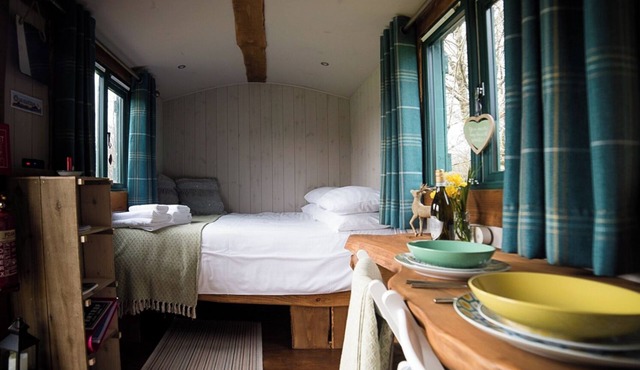 Shire the Shepherd's Hut - Welcoming Dogs