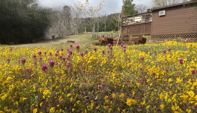 Shirley Creek Mountain Oasis: Special Discounts!