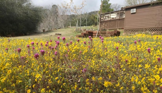 Shirley Creek Retreat: a Mountain Oasis