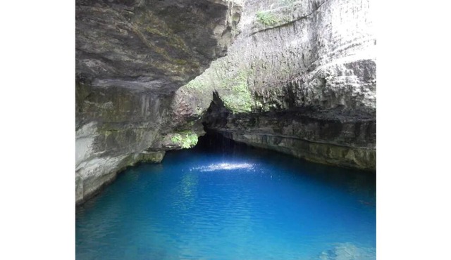 Shoal Creek Retreat Farm Stay