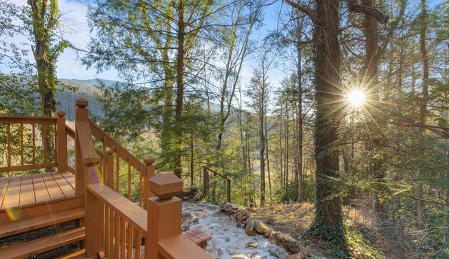 Shooting Star by Jackson Mountain Rentals