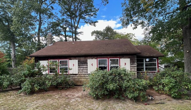 Shore Leave at the Sea Shore