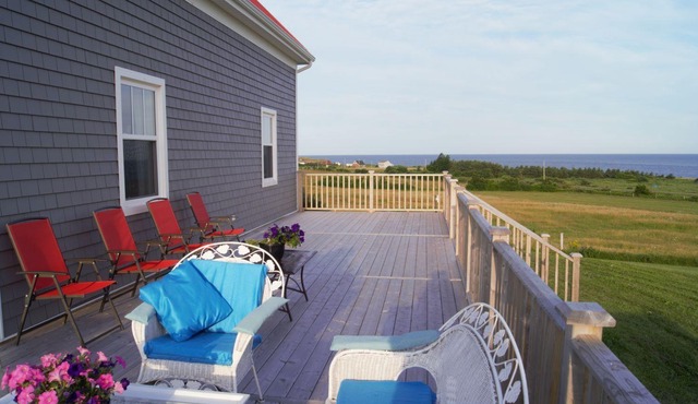 Shoreline Cove! Indulge in mesmerizing sunsets, rustic soothing beaches