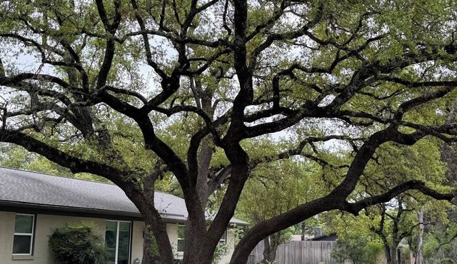 SHORT OR LONG TERM, CORPORATE OR VACATION RENTAL WEST AUSTIN GREAT LOCATION