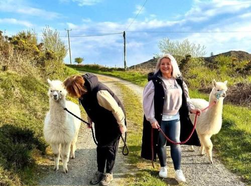 Short & Sweet Alpaca Retreat