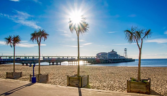 Short Walk To Moors Valley Country Park. Close To New Forest And Bournemouth.