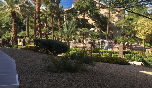 Short walk to the strip across the street from the Rio and Palm s