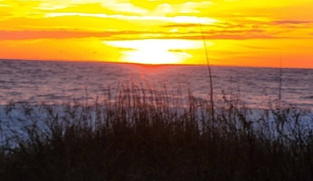 Shuckers & Beaches! In Beautiful Mexico Beach, FL
