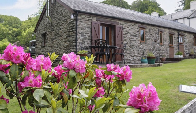 SIABOD VIEW, family friendly, with open fire in Betws-Y-Coed
