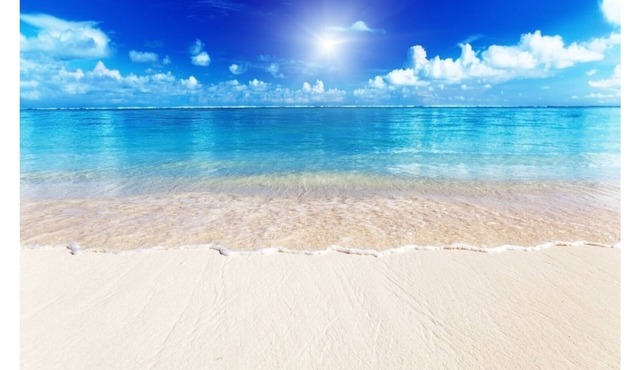 Siesta Key Beach IDEAL LOCATION BEACH, VILLAGE, HEATED POOL