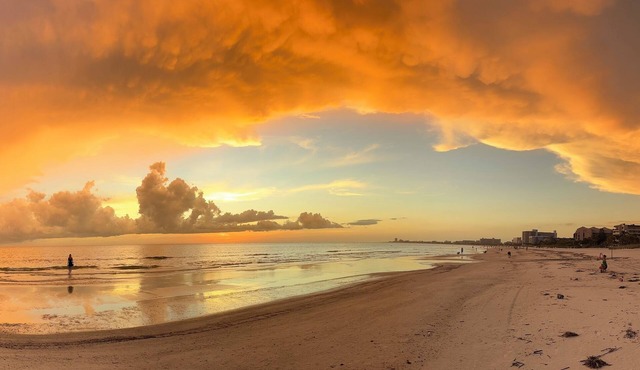 Siesta Key Dream Stay @ Sandy Toesn800' to private beach access. 3 Bed 3 Bath