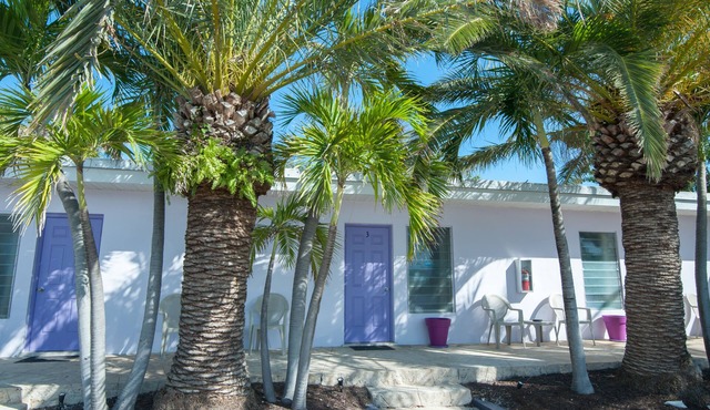 Siesta Motel
