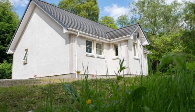 Silver Birch by Interhome