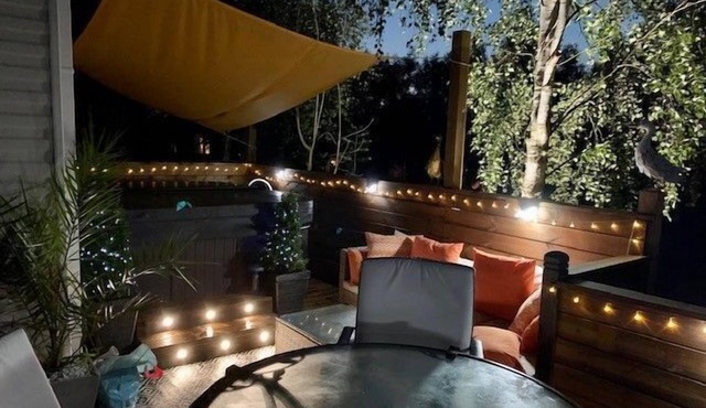 Silver Birch, Northumberland